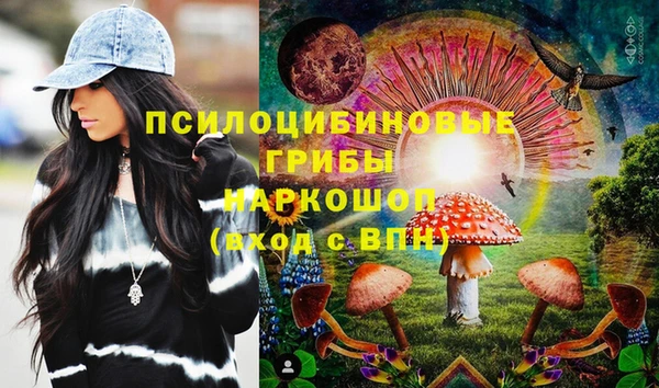 спиды Магас