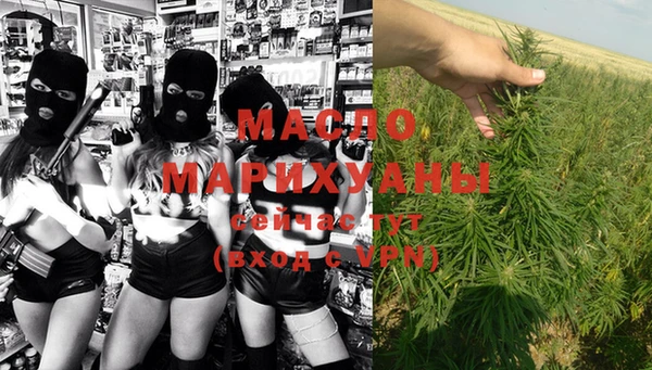 спиды Магас