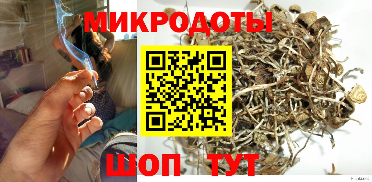 Нижний Тагил  Псилоцибиновые грибы прущие грибы  Вход с VPN 